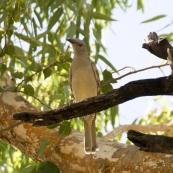 Gregory National Park