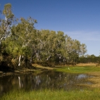 Cockatoo Lagoon