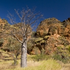 The Jarnem loop walk in Keep River National Park