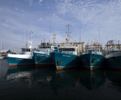 Boats in the port of Fremantle