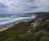 The coastline near Moses Rock