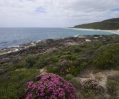 The coastline near Conto Spring