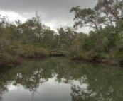 Chapman Pool in Blackwood Conservation Park