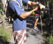 Sam with a sizeable Gould's Monitor in Noosa National Park