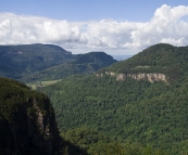 Lamington National Park: looking south into New South Wales