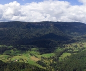 Lamington National Park