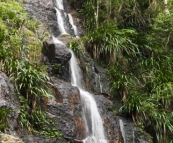 Lamington National Park: cascades along the track to Ballanjui Falls