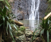 Lamington National Park: cascades along the track to Ballanjui Falls