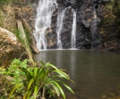 Lamington National Park: Ballanjui Falls