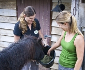 Branell Homestead: feeding Angel the miniature pony