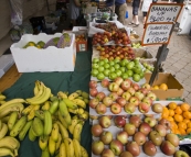 Eumundi Markets