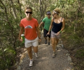 Hiking up Mount Coolum