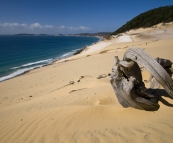 Carlo Sand Blow at Rainbow Beach