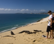 Chris and Cheryl at Carlo Sand Blow