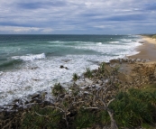 The beach looking south from Point Arkwright