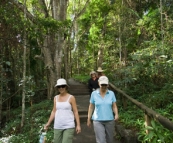 Lisa and Jenni hiking to Kondalilla Falls