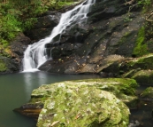 Picnic Creek Falls