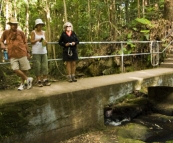 Randy, Gail and Lisa at Picnic Creek Falls