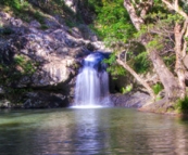 Kondalilla Falls