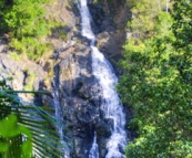 Kondalilla Falls