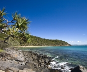 Randy waiting for a wave at Tea Tree Bay