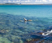 Randy waiting for a wave at Tea Tree Bay