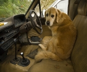 Bundy Campbell ready to drive Harry Hilux