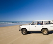 Bessie on Fraser Island's eastern beach