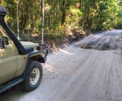 The Tank on the track to Lake Birrabeen