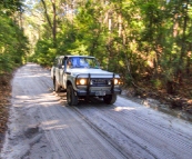 Bessie on the track to Lake Birrabeen