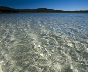 Crystal clear waters of picturesque Lake Birrabeen