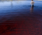 Chris taking a dip in the tannin-stained water of Lake Boomanjin