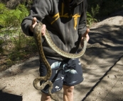 Chris with a Carpet Python on the inland track from Lake Boomanjin