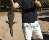 Sam with a Lace Monitor at Dundubara