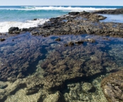 Champagne Pools