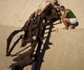 A vehicle flipped in the sand at Sandy Cape