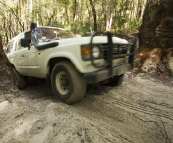 Bessie tackling the Lake Wabby track to Central Station