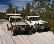 The Tank and Bessie on the Lake Wabby track to Central Station