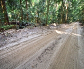 The inland track from Lake Wabby to Central Station