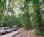 Parked in the Pile Valley rainforest