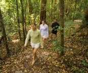 Lisa, Sarah and James walking around the Pile Valley rainforest