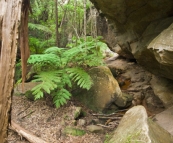 The Overhang in Cania Gorge