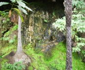 Dripping Rock in Cania Gorge