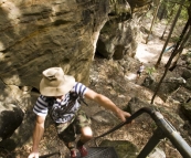 Chris climbing the stairs on the way to Boolimba Bluff