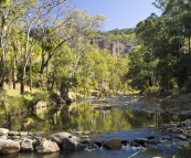 Carnarvon Creek at the mouth of Carnarvon Gorge