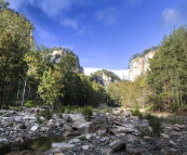 Carnarvon Gorge