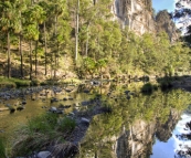 Carnarvon Gorge