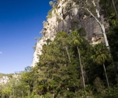 Carnarvon Gorge