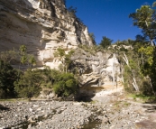 Carnarvon Gorge