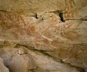 Aboriginal artwork in Cathedral Cave